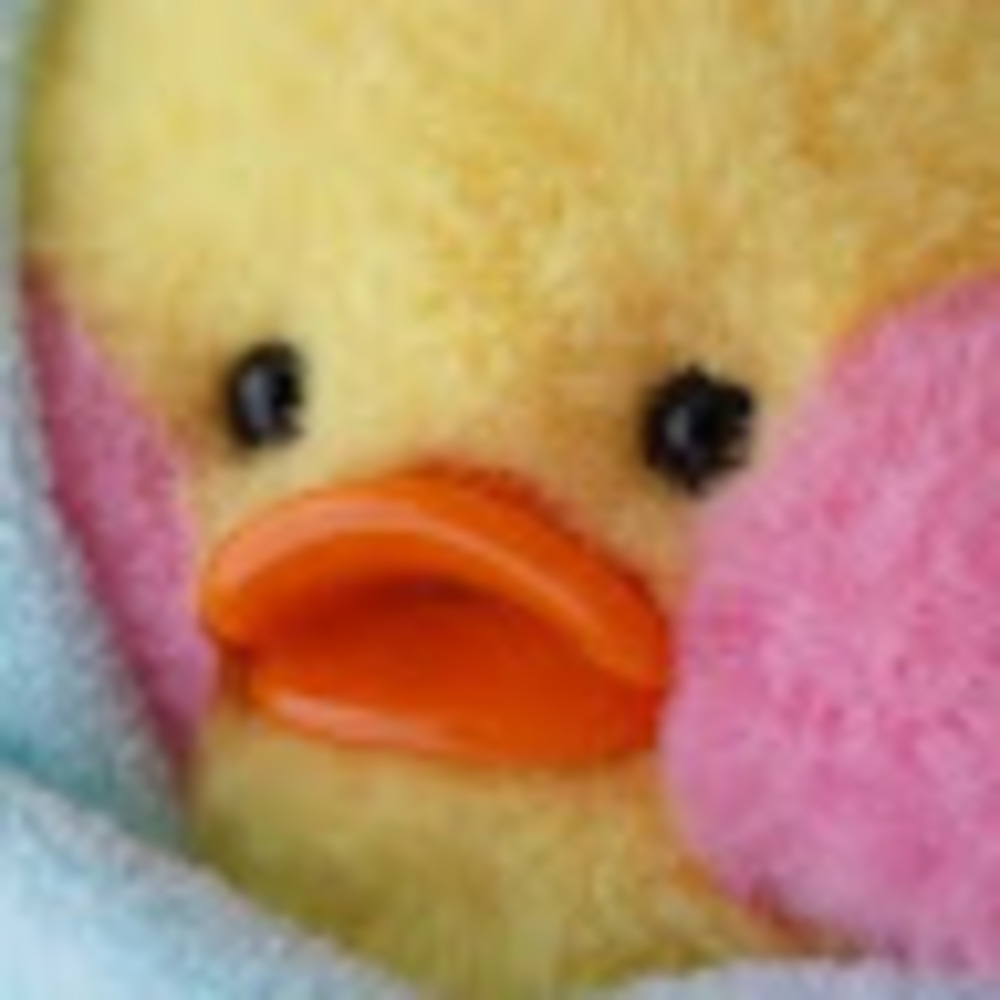 Meet your Posher, Hoppin